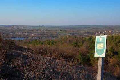 Ботанічну пам’ятку «Терещуків яр» повернули в державну власність 