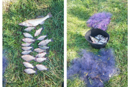 Рибка за 30 тисяч гривень: на Вінниччині рибінспектори викрили браконьєра