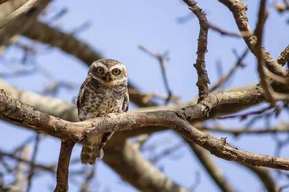 На Вінниччині очікуються заморозки: прогноз погоди на 14–15 жовтня
