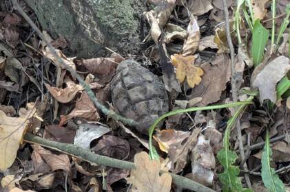 На Вінниччині сапери знищили гранату часів Другої світової, знайдену у дворі будинку