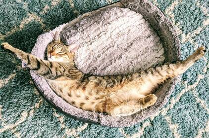 Осіння неділя у Вінниці: дощ, мокрий сніг та прохолодні ранки