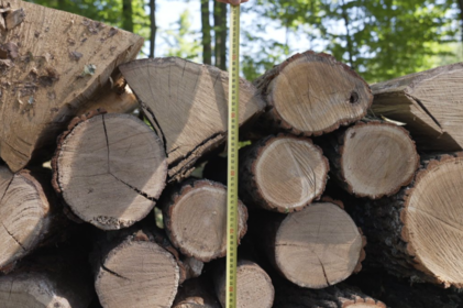 У в’язниці продавав «дрова»: вінничанина засудили за шахрайство