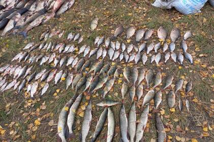 Рибоохоронці Вінниччини викрили браконьєра, який завдав природі збитків на понад 700 тис грн