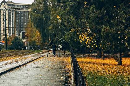 На Вінниччині очікують заморозки й туман: попередження синоптиків