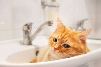 Деякі мікрорайони Вінниці тимчасово будуть з пониженим тиском води: коли та як надовго