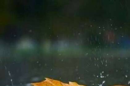 На Вінниччині потеплішає, але прийдуть дощі та грози: прогноз на 23 - 24 жовтня