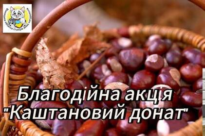 «Каштановий донат»: у Вінниці триває благодійна акція на підтримку ЗСУ