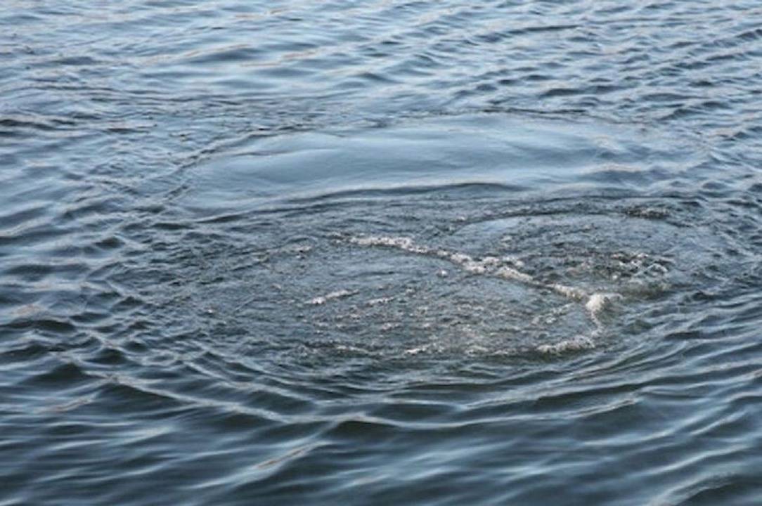 На Вінниччині рятувальники дістали з водойми чоловіка без ознак життя На Вінниччині рятувальники дістали з водойми чоловіка без ознак життя