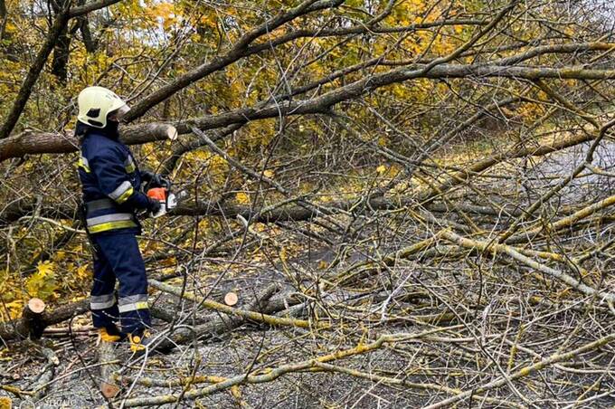 Рятувальники ліквідували наслідки негоди: здійснили чотири виїзди в області Рятувальники ліквідували наслідки негоди: здійснили чотири виїзди в області