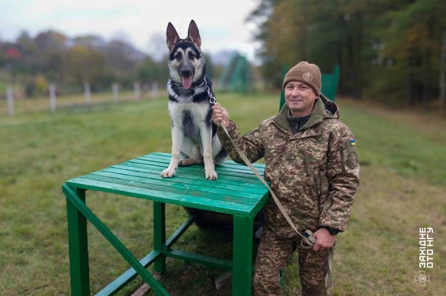 Вінницькі кінологи Нацгвардії тренуються разом із чотирилапими напарниками  Вінницькі кінологи Нацгвардії тренуються разом із чотирилапими напарниками
