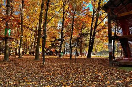Погода у Вінниці 28–29 жовтня: пориви вітру та невеликий дощ