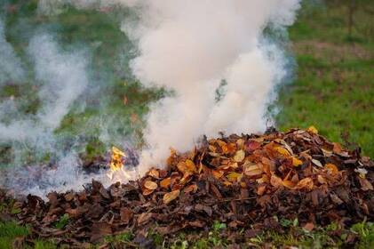 Вінниця каже «ні» спаленому листю: як працюють мобільні групи Муніципальної варти