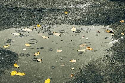 На Вінниччині очікуються дощі й сильний вітер: оголошено жовтий рівень небезпечності