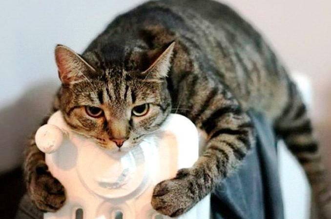 У Вінниці з 30 жовтня почнуть подавати тепло в житлові будинки У Вінниці з 30 жовтня почнуть подавати тепло в житлові будинки