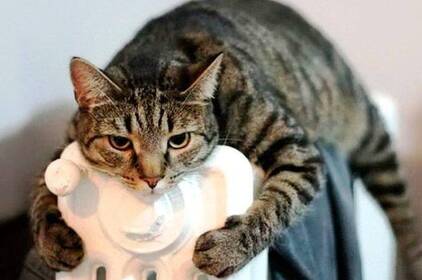 У Вінниці з 30 жовтня почнуть подавати тепло в житлові будинки