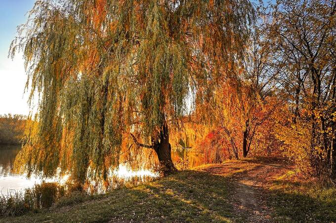 У Вінниці та області прогнозують сильний вітер і невелике похолодання У Вінниці та області прогнозують сильний вітер і невелике похолодання