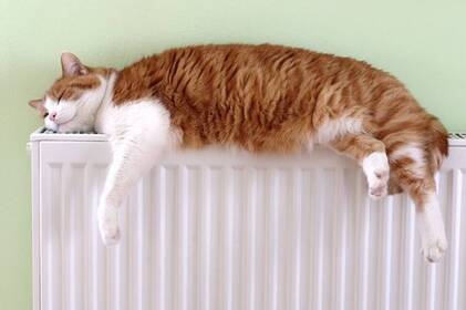 Більшість багатоквартирних будинків у Вінниці вже з теплом