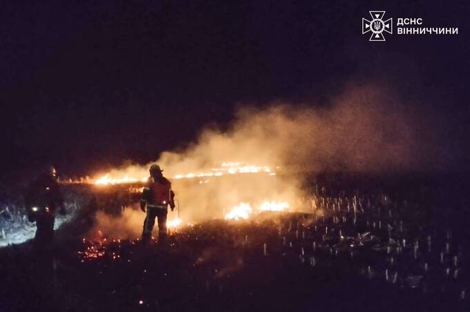 Горіло поле: на Вінниччині рятувальники ліквідували займання кукурудзяних залишків
