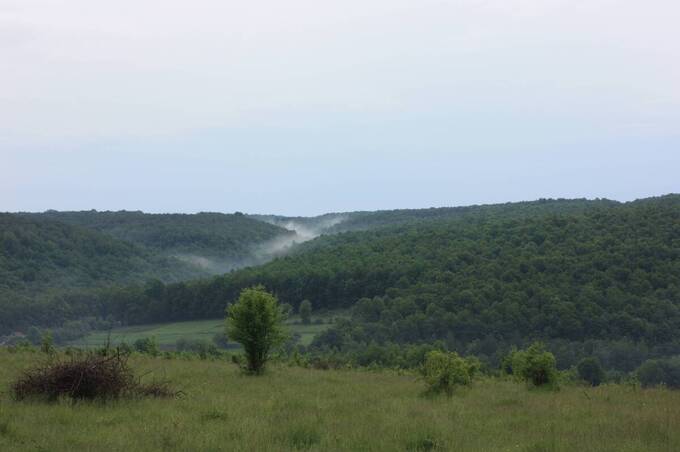 Прокуратура відстояла право держави на 53 га території Нацпарку «Кармелюкове Поділля»