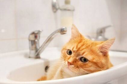 Адреси, за якими у Вінниці 4 листопада не буде світла та води