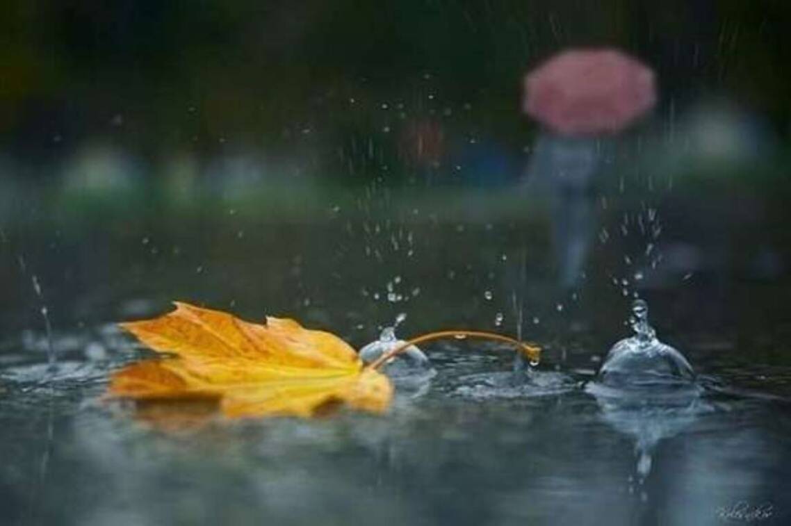 Погода у Вінниці та області на 5–6 листопада: дрібні дощі змінить ясніше небо