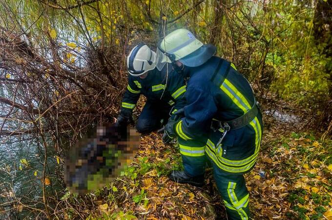 Зі ставка на Вінниччині дістали тіло чоловіка