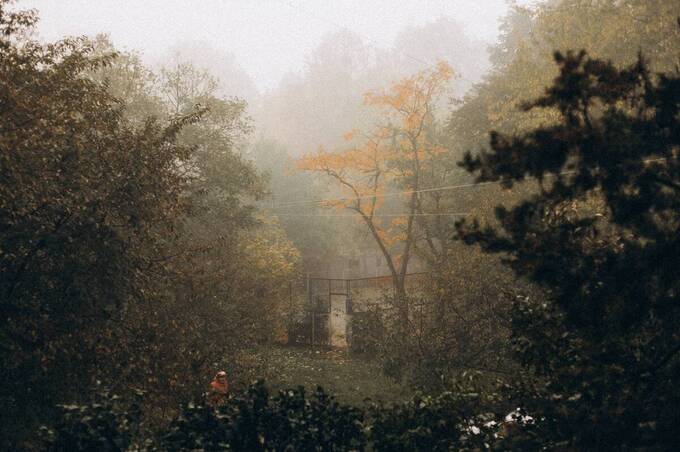 На Вінниччині збережеться суха та відносно тепла погода: прогноз на 6–7 листопада