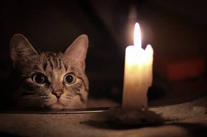 Графіки погодинних відключень світла та планові ремонти у Вінниці 10 листопада