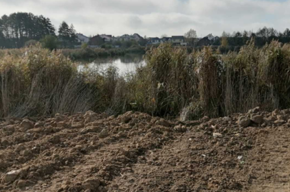 Прибережні зони річки Вишня під загрозою: у Вінниці зафіксували розорення та засмічення комунальних земель