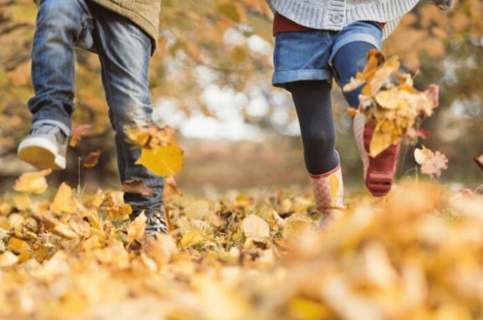 Тумани та теплі дні: якою буде погода у Вінниці 14–15 листопада