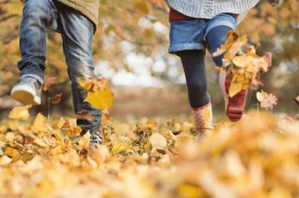 Тумани та теплі дні: якою буде погода у Вінниці 14–15 листопада