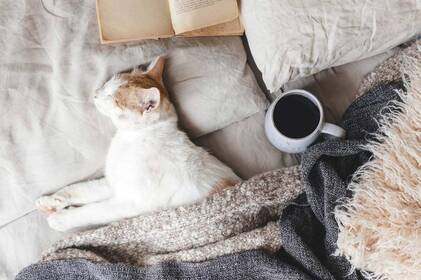 Вінниця на порозі холодних ранків: прогноз погоди на 19–20 листопада