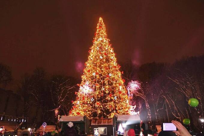 У цьому році Вінниця не витрачатиме бюджетні кошти на встановлення новорічної ялинки