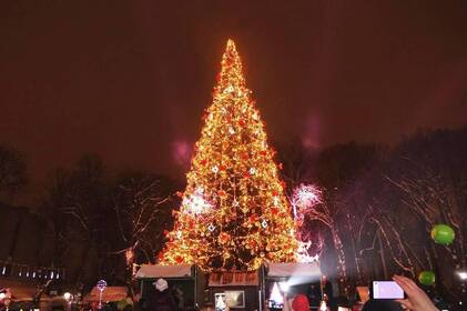 У цьому році Вінниця не витрачатиме бюджетні кошти на встановлення новорічної ялинки