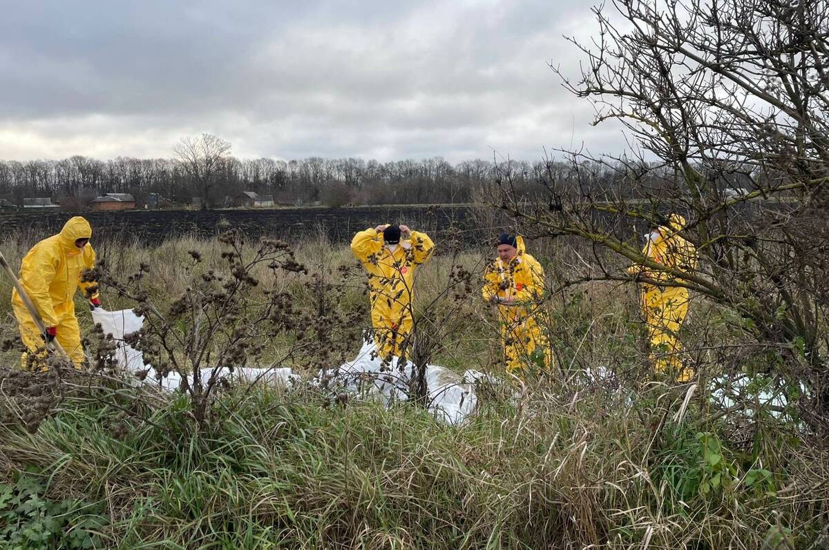 У Козятинській громаді прибирають небезпечну спадщину: розпочалась утилізація старих пестицидів