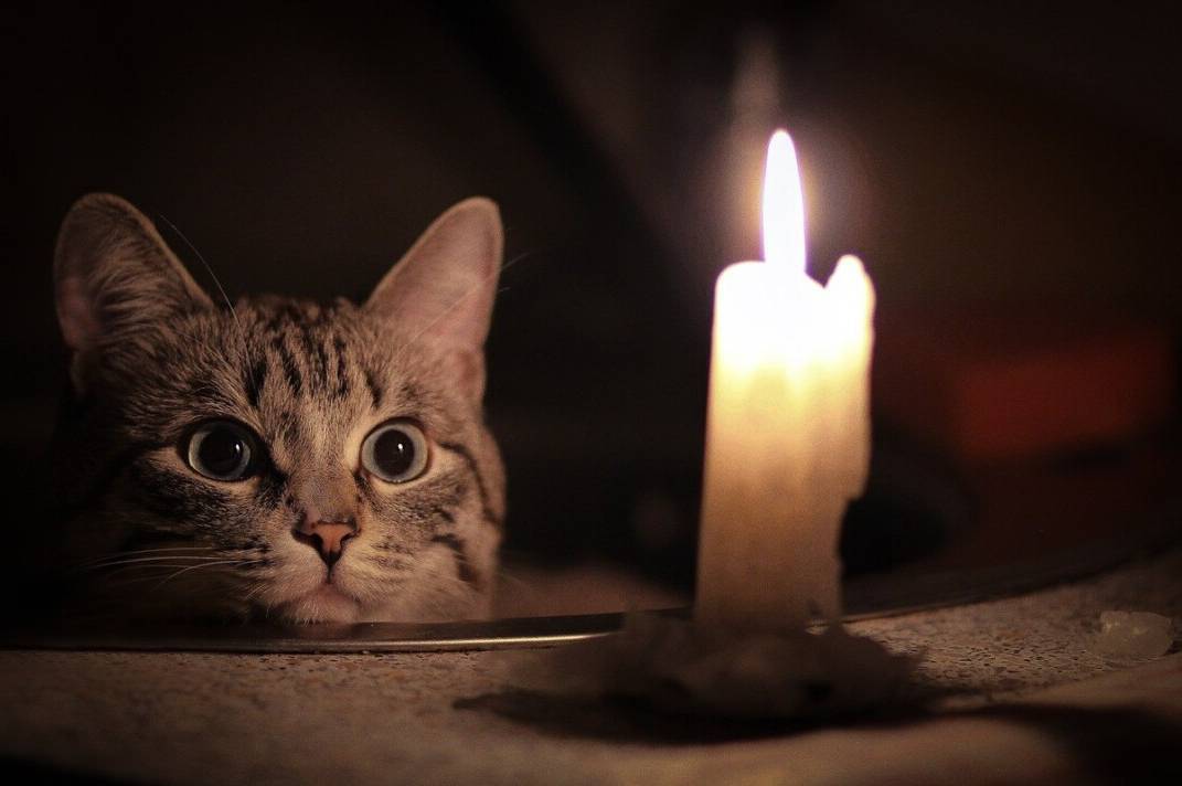 Перелік адрес, за якими у Вінниці 20 листопада будуть лагодити мережі