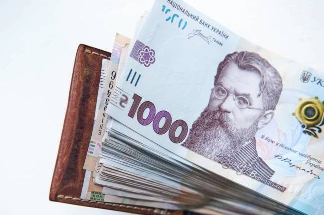 Стало відомо, через скільки днів нарахують «1000 Зеленського» тим, хто вже подав заяву