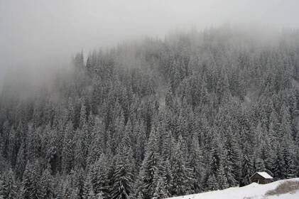 Ожеледиця та мокрий сніг накриють Вінниччину: прогноз на 23-24 листопада