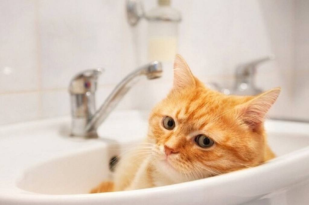 За якими адресами у Вінниці 26 листопада не буде світла та води: перелік