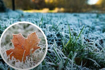 Дощ і мокрий сніг зміняться на теплішу погоду: що чекає Вінниччину цими днями