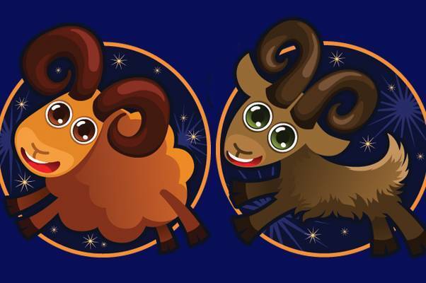 Овен и Козерог совместимость в любви и отношениях