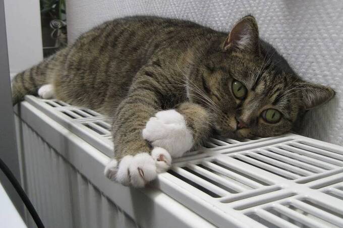 У Вінниці 13 будинків залишаться без опалення та гарячої води 4 грудня: причина 