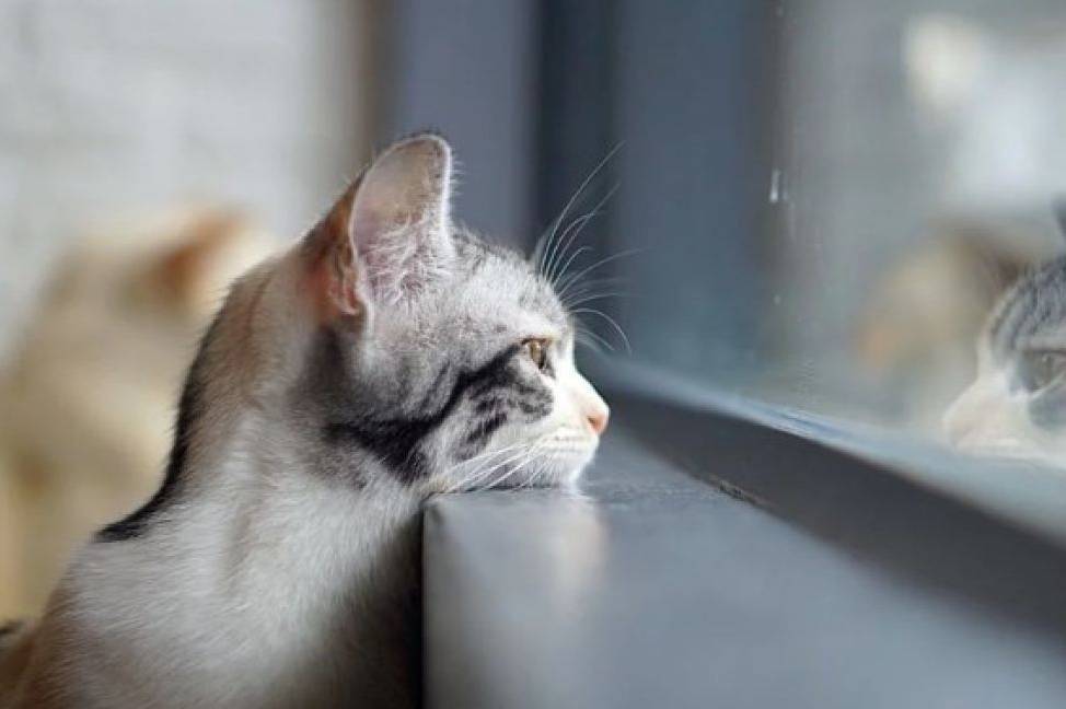 На Вінниччині два дні буде хмарно: синоптики оприлюднили прогноз на 9–10 грудня