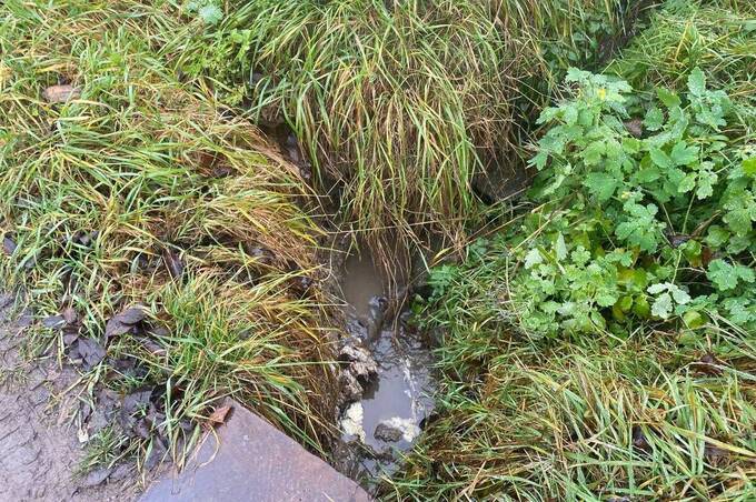 Мешканець Вінниці зливав рідкі відходи у струмок Безіменний