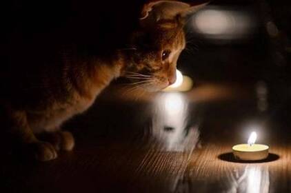 Відключення світла на Вінниччині: де перевірити графік та налаштувати сповіщення