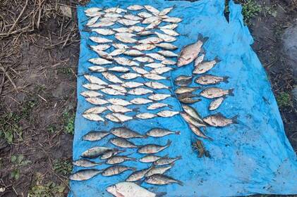 На Вінниччині рибоохоронний патруль і поліція затримали браконьєрів