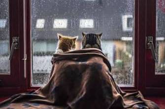 Похолодання та хмари: погода у Вінниці на 12–13 грудня