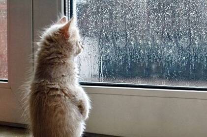 Мінлива хмарність і мокрий сніг: прогноз погоди у Вінниці та області на 13–14 грудня