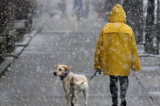 На Вінниччині завтра очікується мокрий сніг та ожеледь