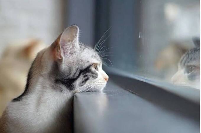 Туман і ожеледиця на вихідних: якою буде погода на Вінниччині 20–21 грудня